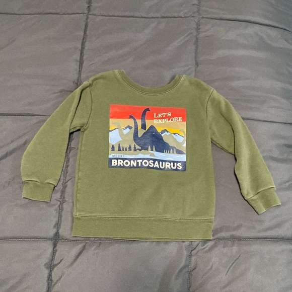 Garanimals Other - 2T Dino Sweatshirt